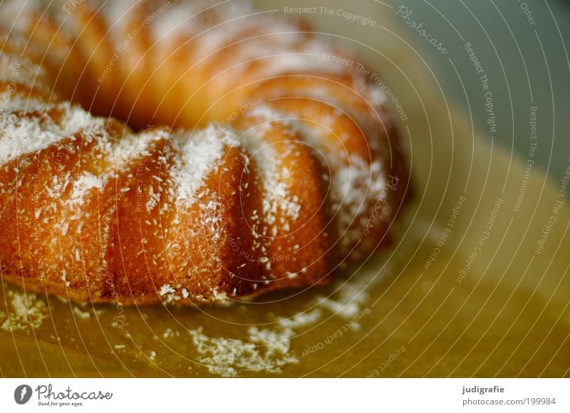 cakes Food Cake Nutrition To have a coffee Kitchen Feasts & Celebrations Mother's Day Delicious Round Sweet Coffee cake Gugelhupf coconut flakes Wreath