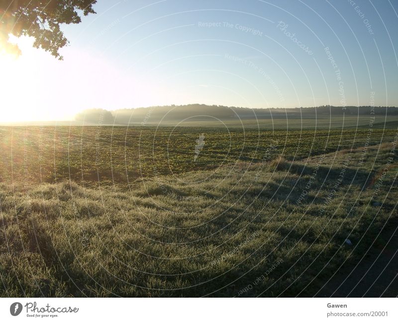 morning fog Fog Sunrise Light Field Morning Far-off places Rope Nature