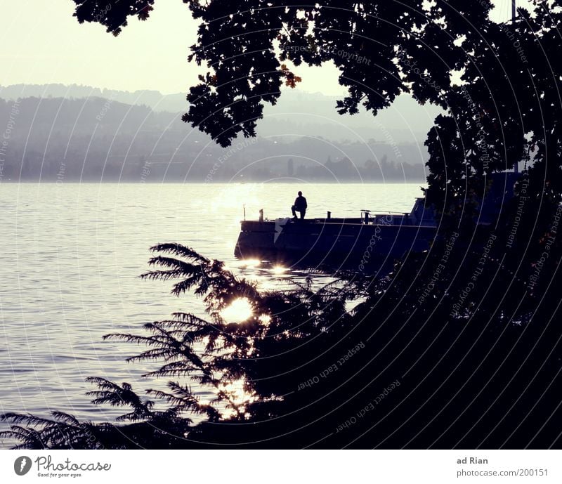 Where 'five' lives Human being 1 Lakeside Lake zurich Moody Footbridge Jetty Surface of water Reflection Vacation photo Relaxation Recreation area Colour photo