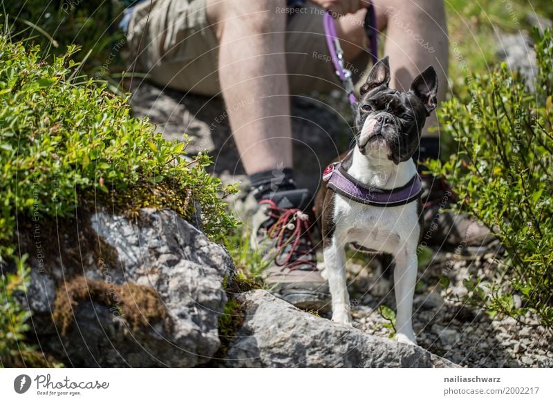 Holiday with the dog Relaxation Vacation & Travel Summer Masculine Man Adults Legs Feet 1 Human being Forest Alps Mountain Pants Hiking boots Animal Pet Dog