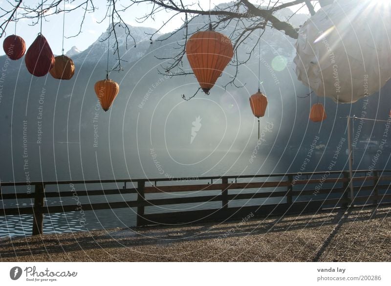 lampions Water Autumn Tree Alps Mountain Lakeside Moody Lens flare Lantern Decoration Branch Fence Fog Hallstadt Hallstadtersee Terrace Colour photo