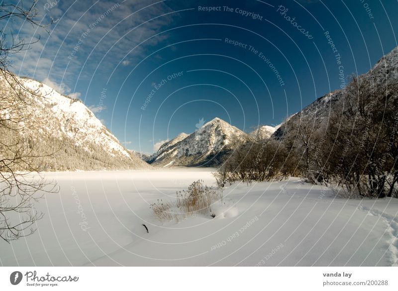 freezing cold Environment Landscape Water Winter Beautiful weather Ice Frost Snow Plant Tree Alps Mountain Peak Snowcapped peak Lakeside Cold Loneliness January