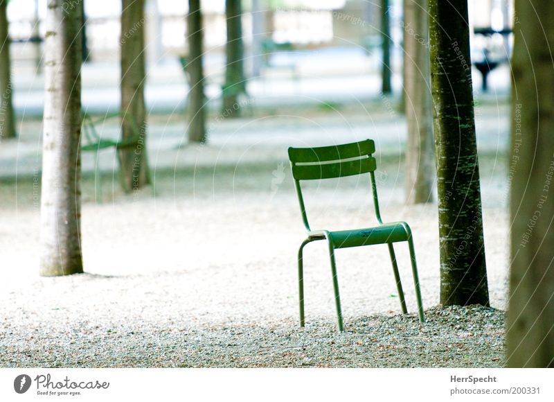 Asseyez vous! Chair Tree Park Metal Gray Green Gravel Pebble Colour photo Subdued colour Exterior shot Deserted Copy Space left Copy Space bottom Day