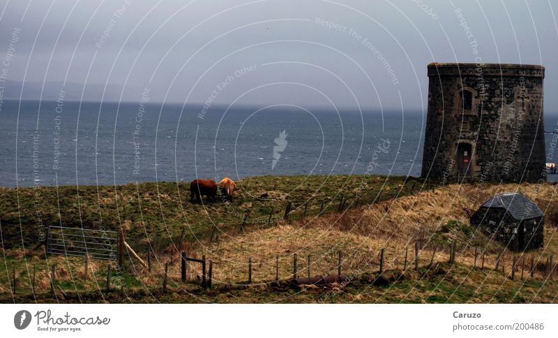 Scotland Environment Landscape Earth Water Clouds Spring Weather Bad weather Meadow Waves Coast Great Britain Isle of Skye Europe Deserted Manmade structures