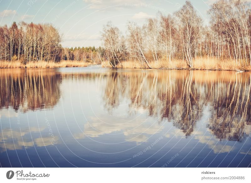 silence Environment Nature Landscape Water Sunrise Sunset Sunlight Spring Beautiful weather Forest Lake Friendliness Happiness Fresh Natural Calm Idyll Clouds