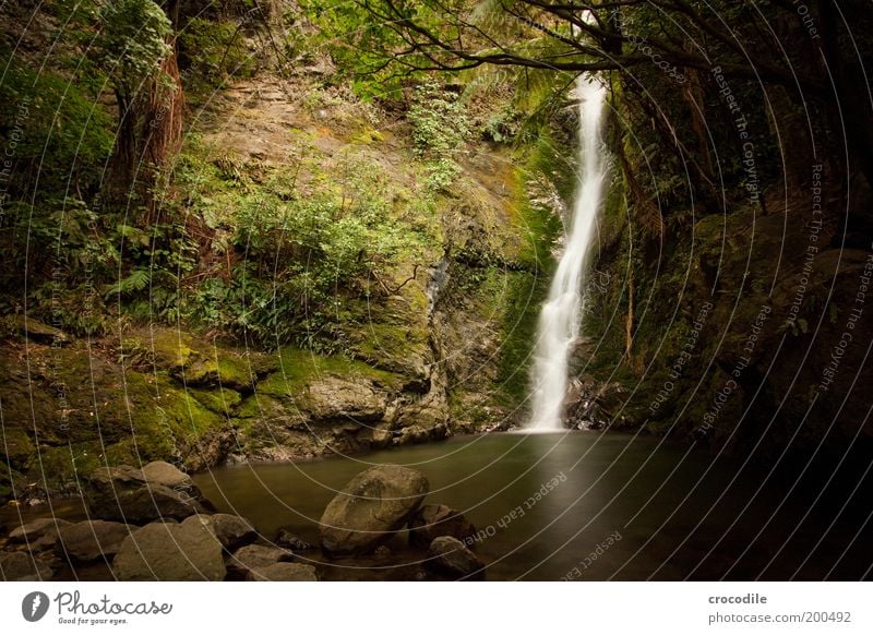 New Zealand 60 Environment Nature Landscape Elements Water Plant Tree Grass Bushes Moss Forest Virgin forest Hill Rock Pond Waterfall Esthetic Exceptional