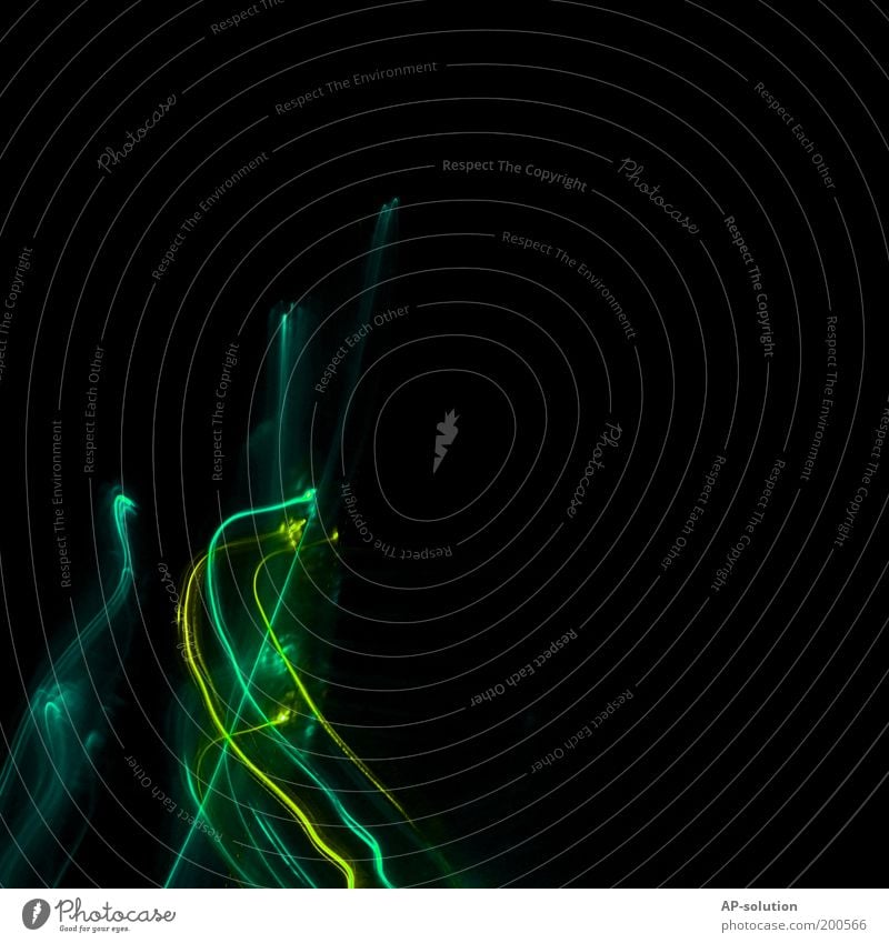 dynamic Design Night life Clubbing Graffiti Movement Illuminate Dynamics Swing Spirited Speed Black Neon Light (Natural Phenomenon) Visual spectacle