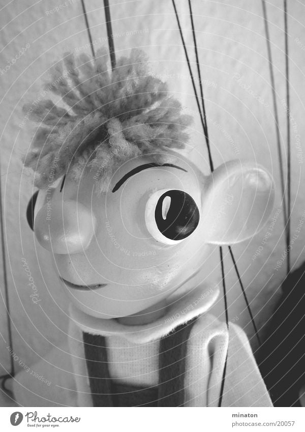 Hurvinek Marionette Portrait photograph Gray scale value Leisure and hobbies Doll macro mode