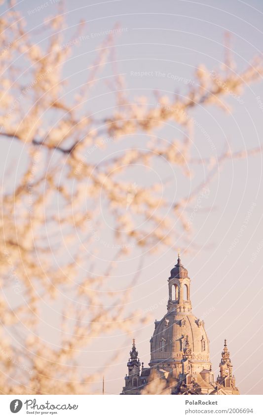 #A# Dresden Blossom Art Work of art Painting and drawing (object) Esthetic Frauenkirche Saxony Germany Spring Spring day Baroque Old town Blossoming