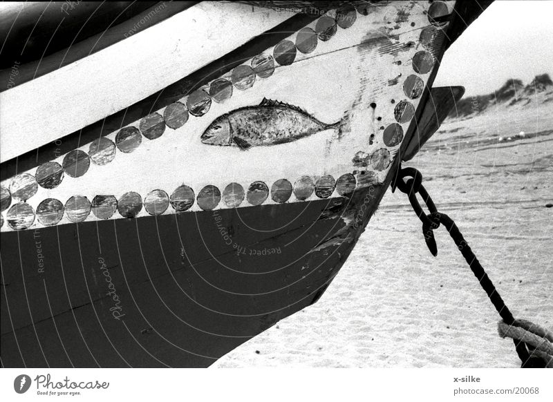 Boat Portugal Watercraft Leisure and hobbies Boat on the beach