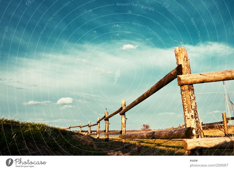 fence Environment Nature Landscape Elements Sky Clouds Summer Beautiful weather Grass Meadow Field Wood Authentic Friendliness Warmth Blue Green Fence Pasture