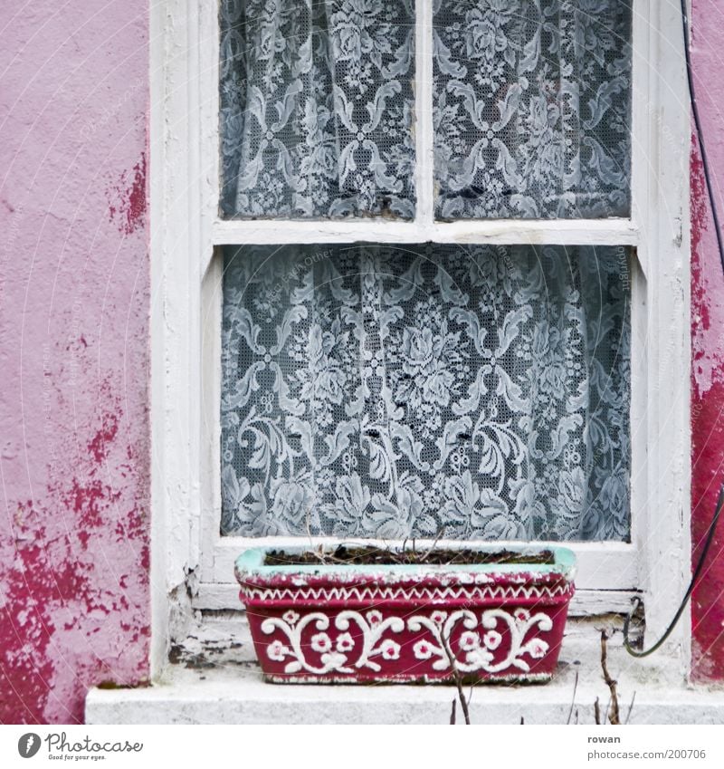 pink windows Facade Window Pink White Drape Adornment Decoration Old Shabby Canceled Window board Retro Colour photo Exterior shot Deserted Day Window box