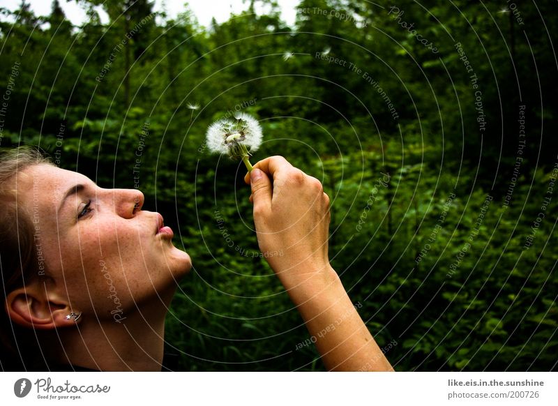 PUSTE*flower Happy Summer Young woman Youth (Young adults) Woman Adults 18 - 30 years Tree Flower Dandelion Garden Park Forest Blossoming Discover Flying Dream