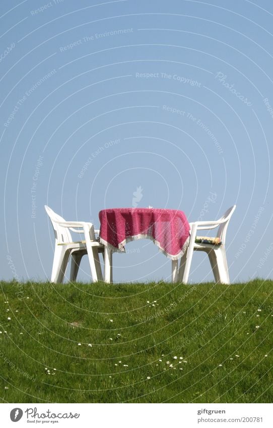 tête-à-tête Trip Summer Furniture Chair Table Restaurant Café Pink Plastic chair Garden chair Sky Grass Meadow Daisy Beautiful weather Tourism Cozy