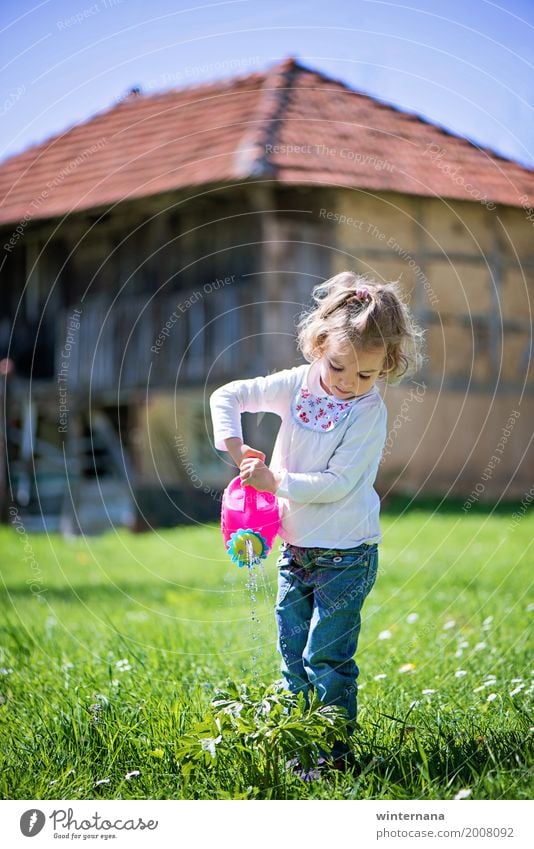 Little helper Freedom Sun Gardening Water can Human being Girl 1 3 - 8 years Child Infancy Environment Nature Plant Sky Cloudless sky Spring