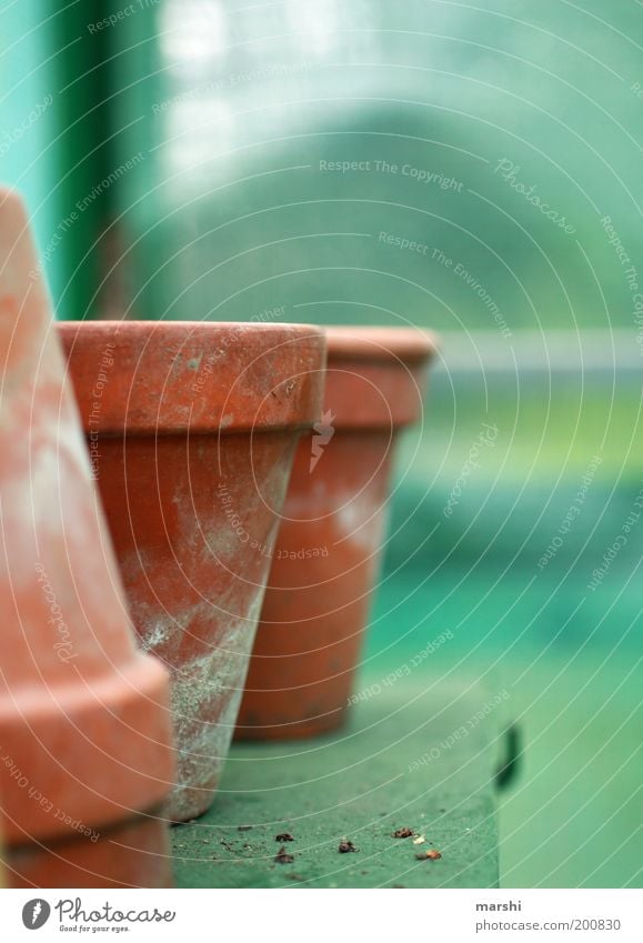 Time for gardening Green Blur Empty Colour photo Exterior shot Deserted Flowerpot Clay pot