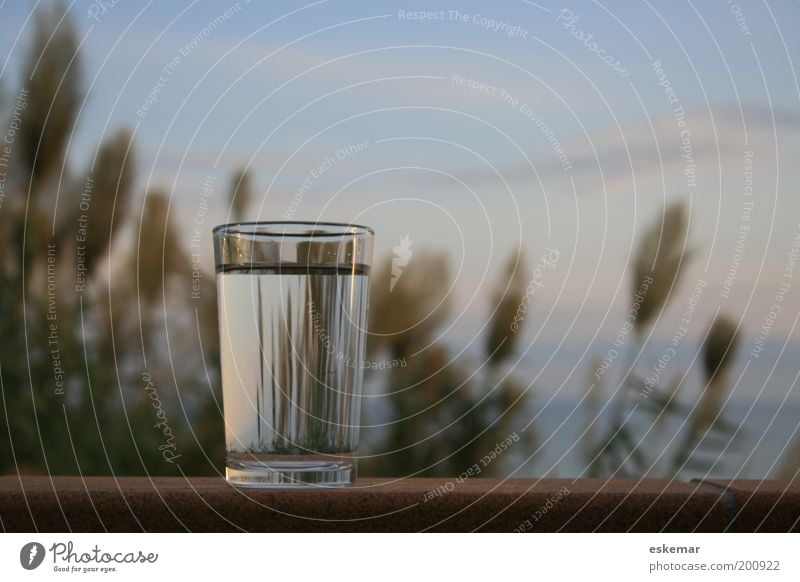 Glass of water Food Beverage Cold drink Drinking water Water Tumbler Nature Sky Ocean Mediterranean sea Simple Fresh Healthy Clean Horizon Wall (barrier)