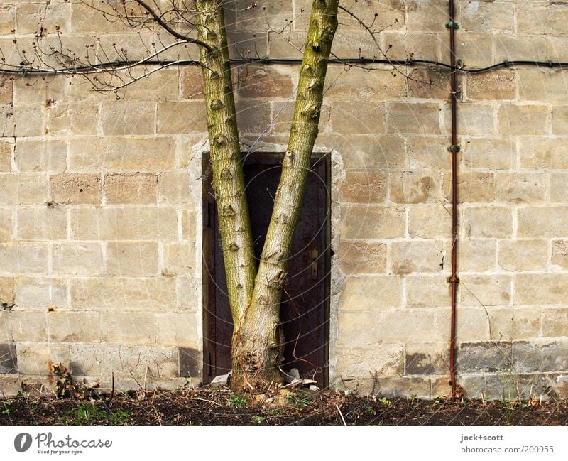 Dinosaur is at the door (idea of time.) Tree trunk Closed Poised to act Stone wall Barrier Futile Metal door Ravages of time GDR Subdued colour