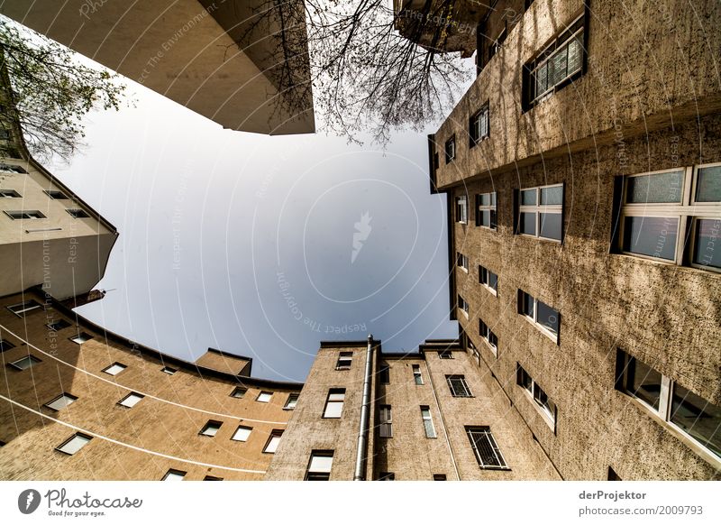 Backyard with view to the sky X Gloomy Copy Space bottom Copy Space left Multicoloured real estate house purchase Real estate market Vacation & Travel Tourism