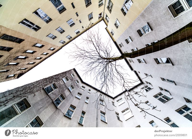 Backyard with a view of the sky VII Gloomy Copy Space bottom Copy Space left Multicoloured real estate house purchase Real estate market Vacation & Travel