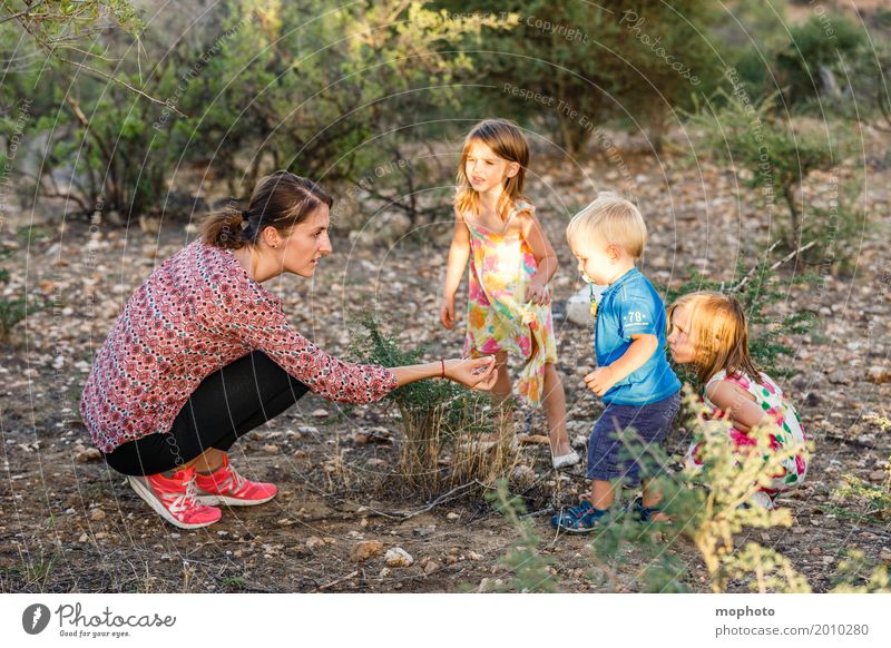 Adventure Playground Nature #3 Healthy Playing Children's game Parenting Kindergarten Study Teacher Girl Boy (child) Young woman Youth (Young adults) Mother