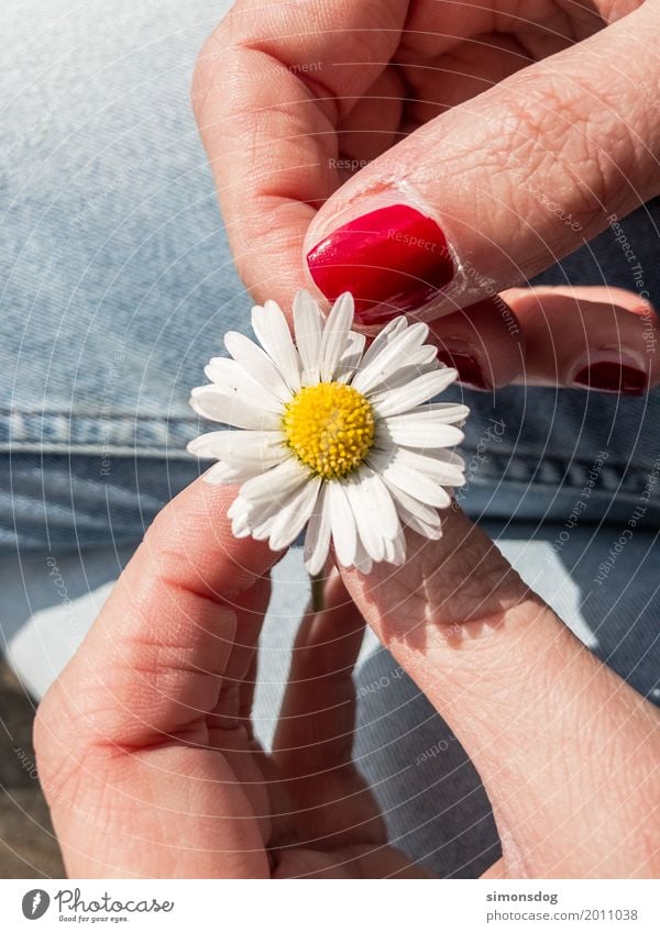 love Joy Happy Calm Meditation Fragrance Adventure Summer Hand Fingers Spring Flower Sign Touch Blossoming To hold on Love Wait Emotions Contentment