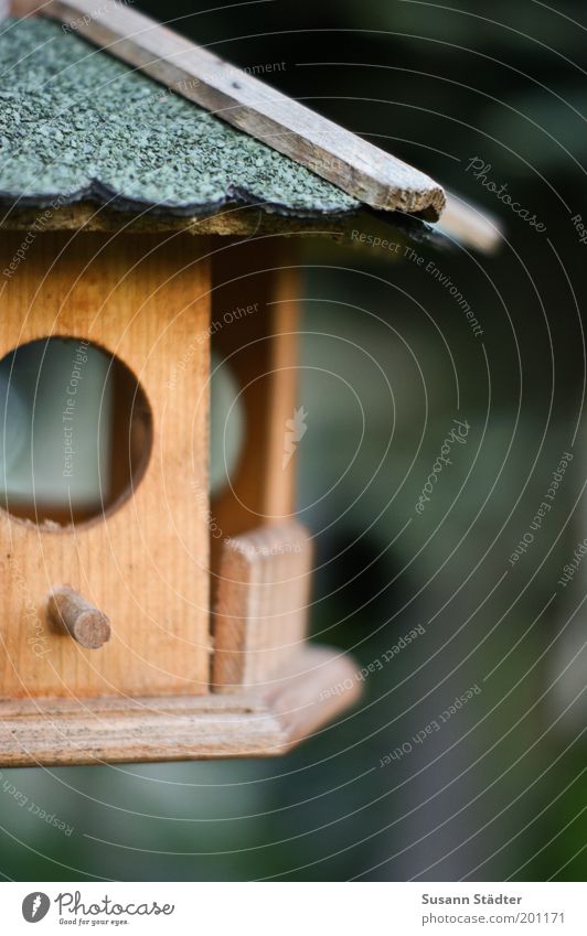 Stormfree Small Birdhouse Love of animals Bird's cage House (Residential Structure) Empty Loneliness Uninhabited Gable Window Cozy Subdued colour Multicoloured