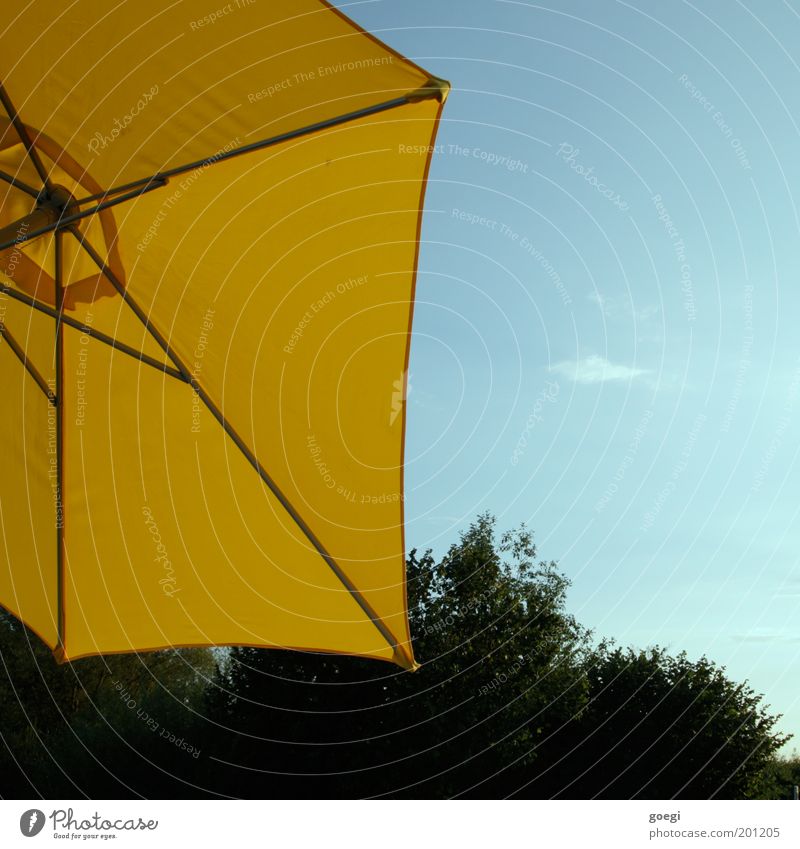 parasol Vacation & Travel Summer Summer vacation Sun Sunbathing Garden Sunshade Relaxation Blue Yellow Green Joie de vivre (Vitality) Spring fever