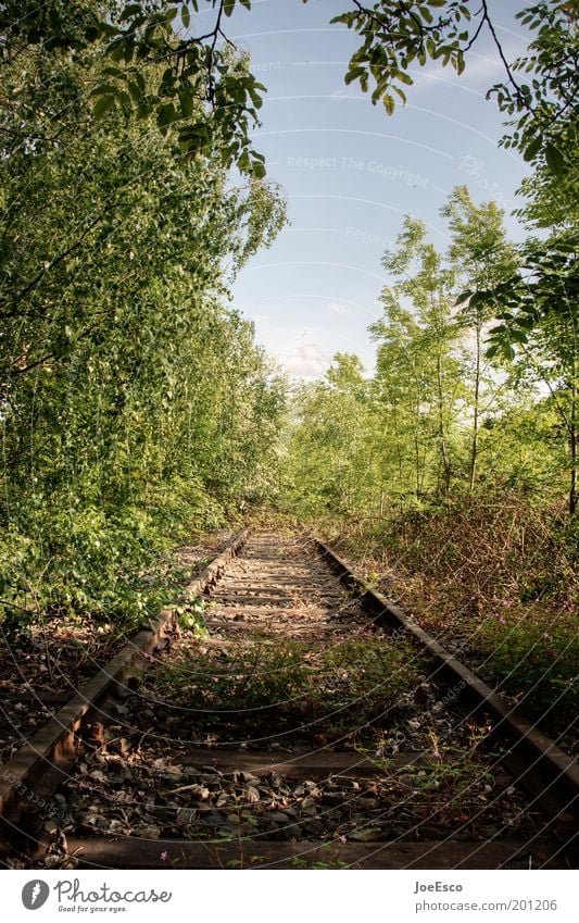 into the wild... Vacation & Travel Far-off places Freedom Expedition Summer Life Nature Plant Tree Grass Forest Rail transport Beautiful Beginning