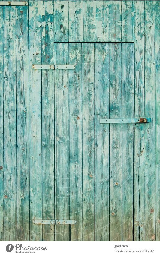 still occupied...but this time equalized ;) Lifestyle Living or residing Garden Beautiful Curiosity Door Barn door Front door Closed Hinge Blue Garden fence