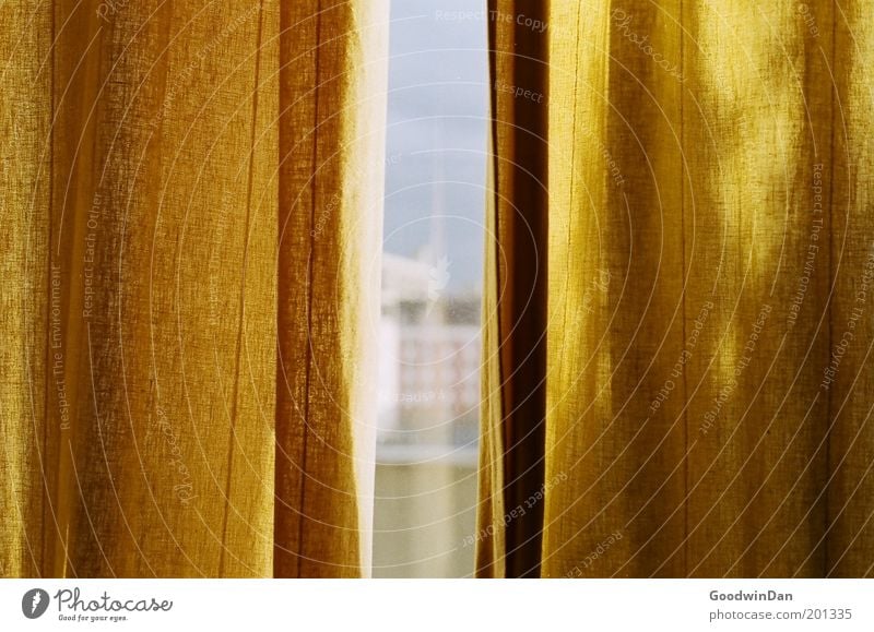 Bright Day Drape Authentic Beautiful Warmth Colour photo Interior shot Window pane Window seat View from a window Vista