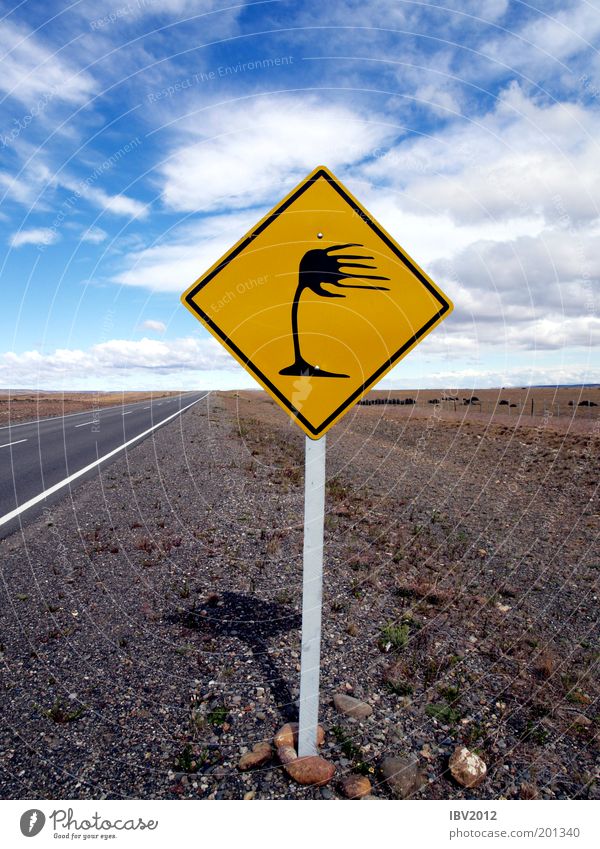 Still caught by the wind Vacation & Travel Tourism Adventure Far-off places Freedom Summer Argentina Nature Earth Sky Clouds Wind Gale Patagonia Street