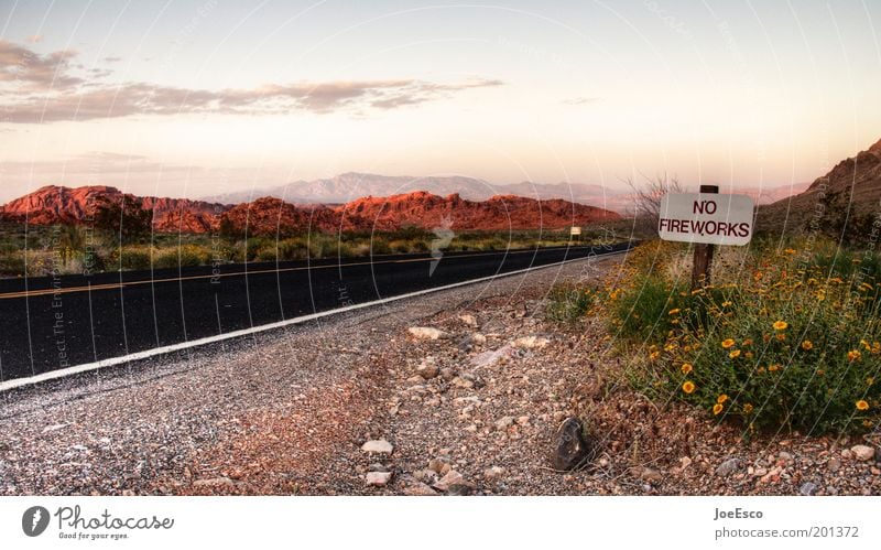 no fireworks! Vacation & Travel Tourism Adventure Far-off places Freedom Life Nature Plant Flower Grass Bushes Moss Mountain Desert Traffic infrastructure