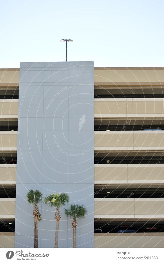 parking garage Plant Sky Cloudless sky Beautiful weather Tree Leaf Foliage plant Exotic Town High-rise Parking garage Manmade structures Architecture Facade