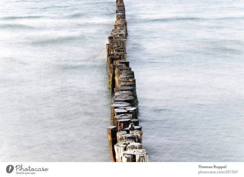 Divided (light) Beach Ocean Waves Environment Nature Landscape Water Coast Baltic Sea Break water Beautiful Blue Gray Colour photo Subdued colour Exterior shot