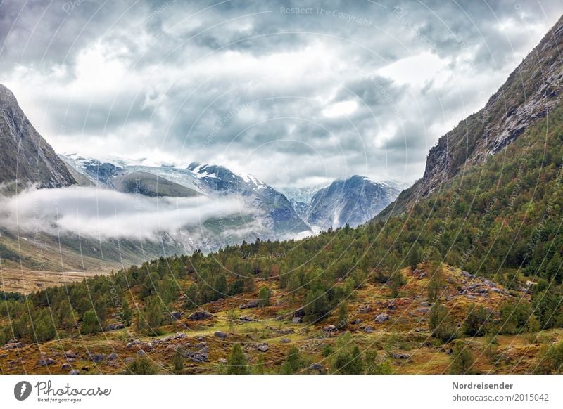 canyon Vacation & Travel Adventure Far-off places Freedom Mountain Hiking Nature Landscape Elements Sky Clouds Weather Tree Grass Moss Meadow Forest Peak