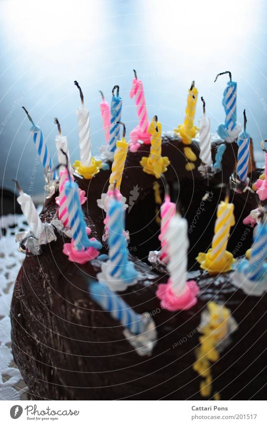 birthday Food Dough Baked goods Dessert Candy Chocolate To have a coffee Happiness Happy Delicious Blue Multicoloured Yellow Pink White Joie de vivre (Vitality)