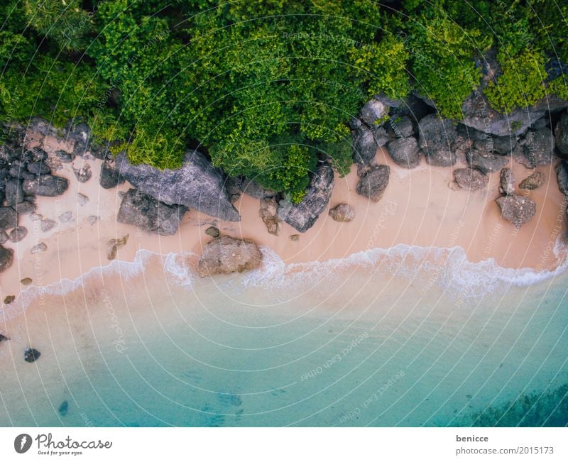 beach from above Beach Bird's-eye view Aerial photograph Tall Vacation & Travel Bali Indonesia Sandy beach Water Ocean Coral Summer sunshine White Paradise