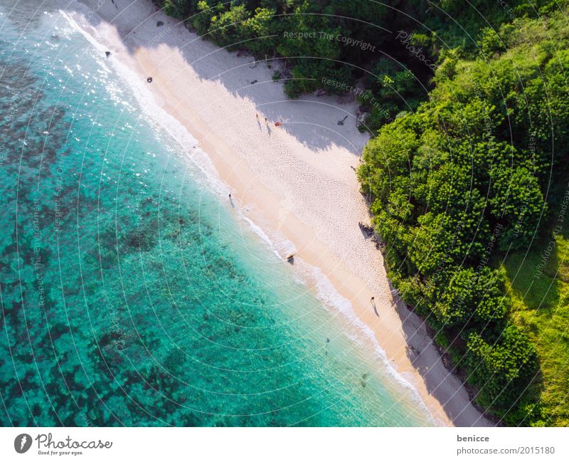 Holiday from above Beach Bird's-eye view Aerial photograph Tall Vacation & Travel Bali Indonesia Travel photography Sandy beach Water Ocean Coral Summer Sun