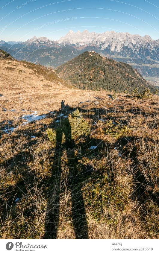 Crime thriller already over the mountains, only more shadow to see Nature Landscape Autumn Beautiful weather Meadow Alps Mountain Dachstein hochwurzen