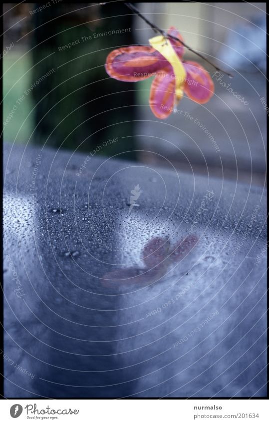 magic drops Decoration Environment Water Climate Rain Deserted Vehicle Sign Hang Exceptional Wet Trashy Gloomy Kitsch Car roof vehicle paint Drops of water