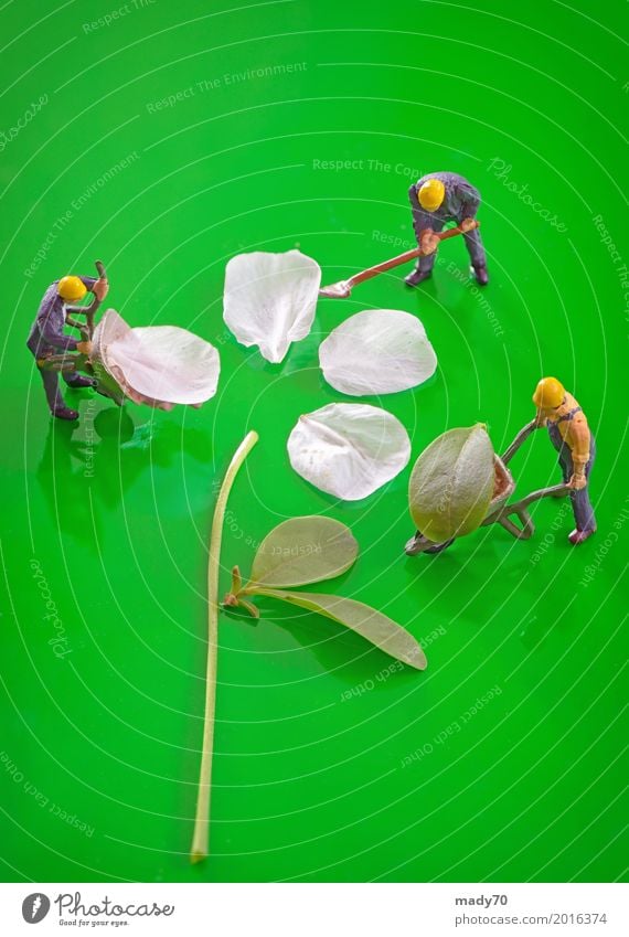 Miniature figures working to create spring cherry flower Garden Work and employment Gardening Earth Flower Grass Leaf Green Land Gardener Spring Figure Tools