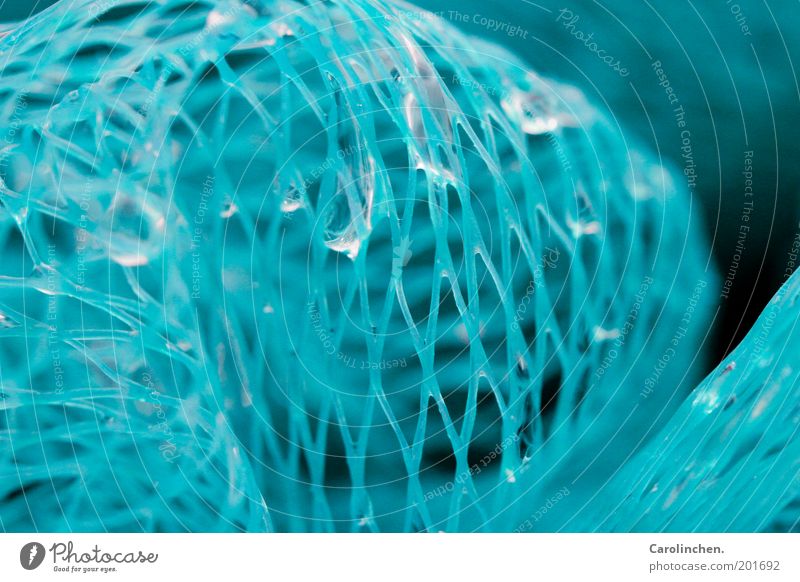 Bathing fun bath sponge. Water Wet Clean Beautiful Sponge Blue Drops of water Close-up Macro (Extreme close-up) Plastic Network Massage brush exfoliation