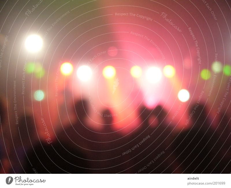 concert Crowd of people Music Concert Stage Singer Musician Fan Movement Dance Euphoria Interest Surprise Colour photo Interior shot Blur Long shot Pink