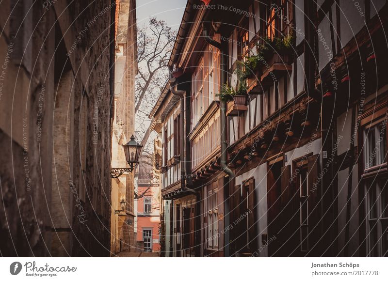 Augustinian Monastery Erfurt IV Old town Augustinian monastery Exterior shot Vista Colour photo Alley Lantern Street lighting Lanes & trails Footpath Stone