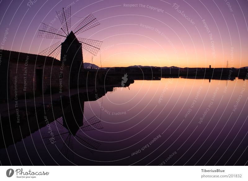 Saltworks at Trapani Museum Open-air museum Landscape Cloudless sky Sunrise Sunset Beautiful weather Pond Salt  lake Deserted Building Windmill Moody Sicily