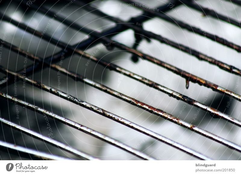 Get It Hot Barbecue (apparatus) Metal Gray Black Silver White Fat Rust Nutrition Summer Colour photo Close-up Deserted Day Shallow depth of field Dirty