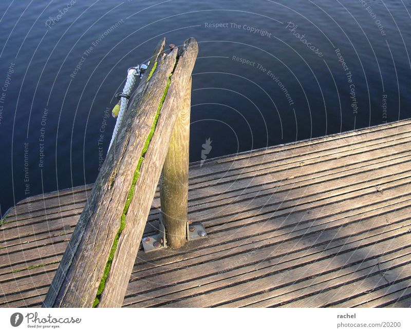 so beautiful here at the lake... Colour photo Multicoloured Exterior shot Day Shadow Contrast Joy Relaxation Calm Leisure and hobbies Fishing (Angle) Trip