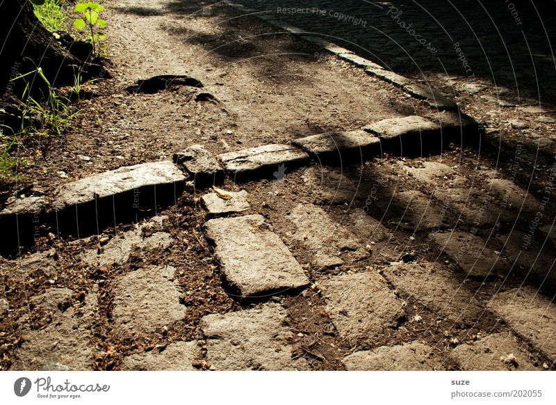 Time to pause Environment Nature Earth Warmth Lanes & trails Old Authentic Simple Natural Brown Emotions Moody Paving stone Cobblestones Curbside Corner