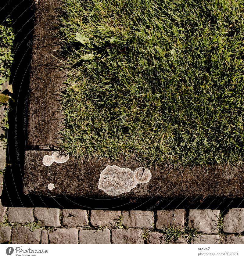 corner Meadow Sharp-edged Near Green Symmetry Boundary Corner Subdued colour Exterior shot Detail Deserted Copy Space bottom Cobblestones Grass